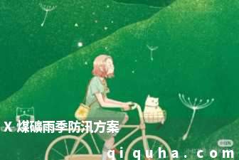 X煤礦雨季防汛方案