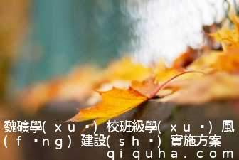 魏礦學(xué)校班級學(xué)風(fēng)建設(shè)實施方案