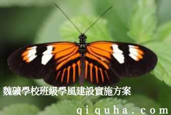 魏礦學校班級學風建設實施方案